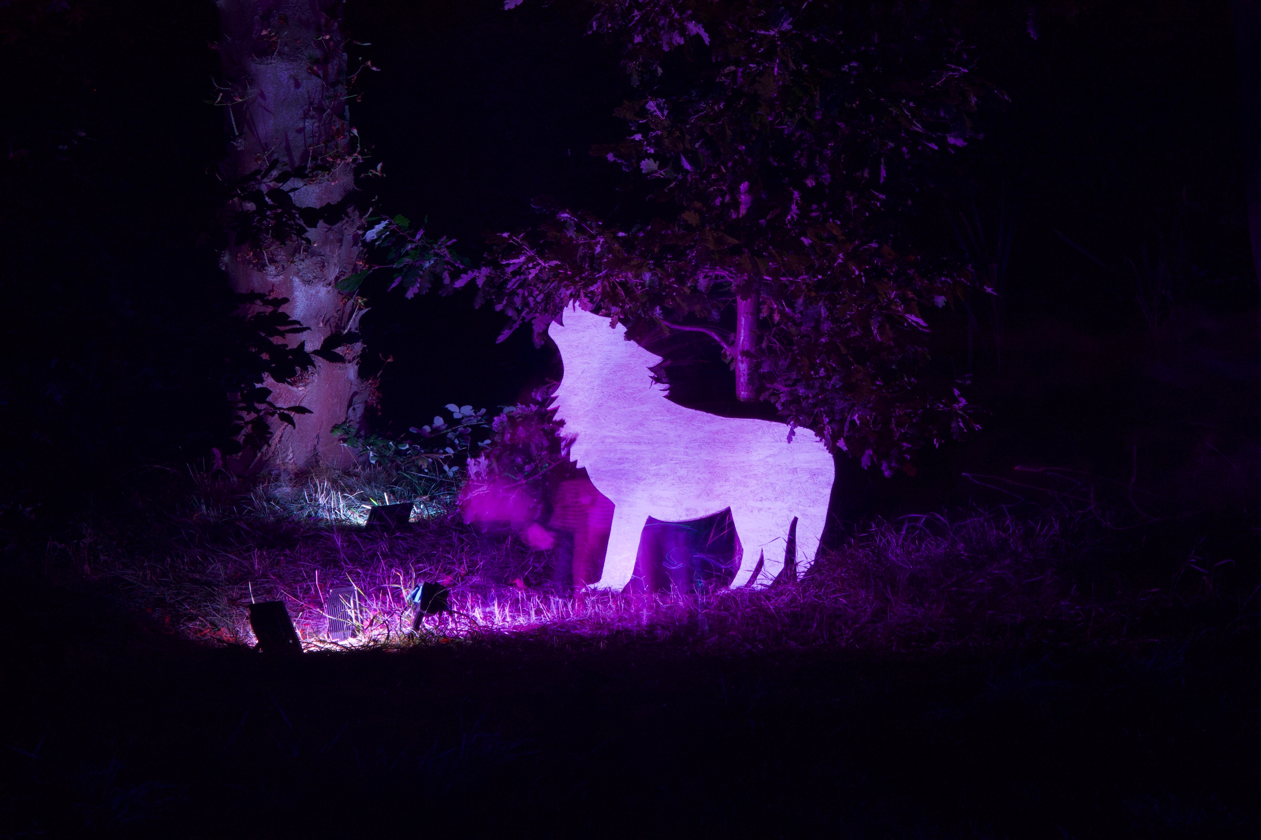 20190922095929 3c8c366f