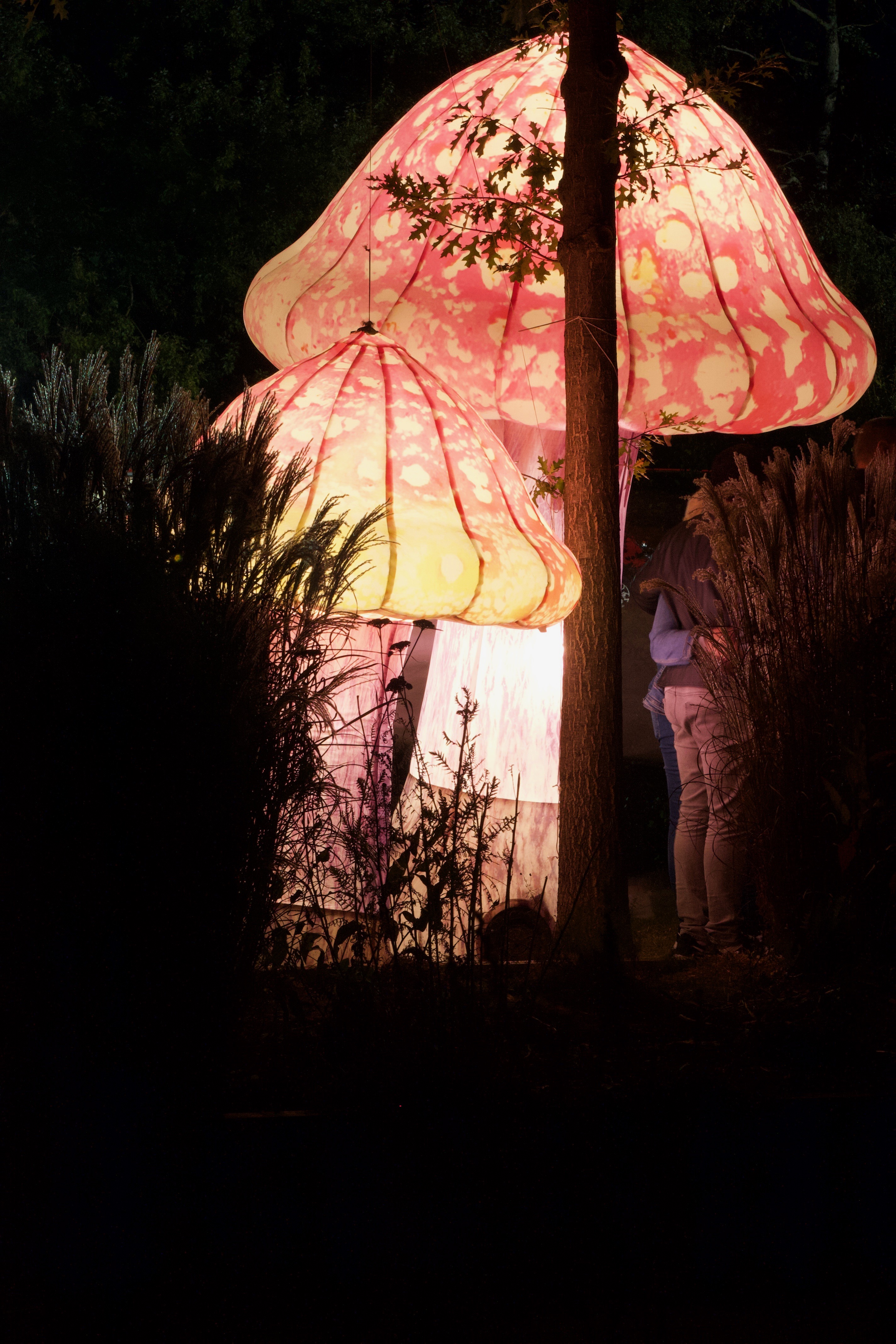 20190922095943 be23a0cc