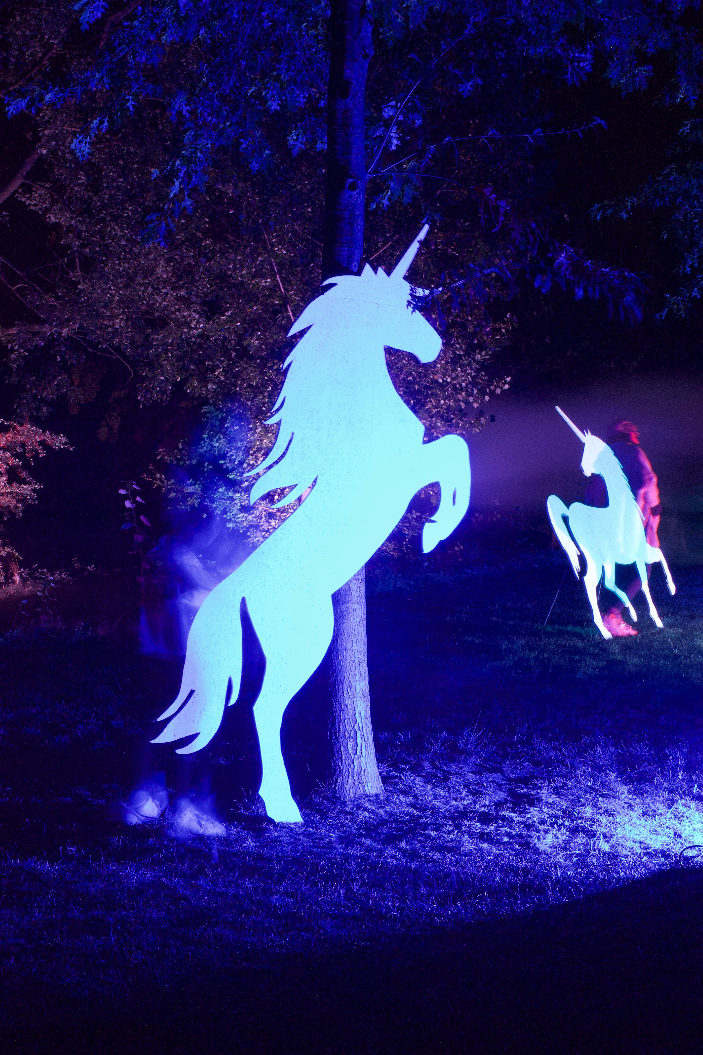 20190922095956 38187047