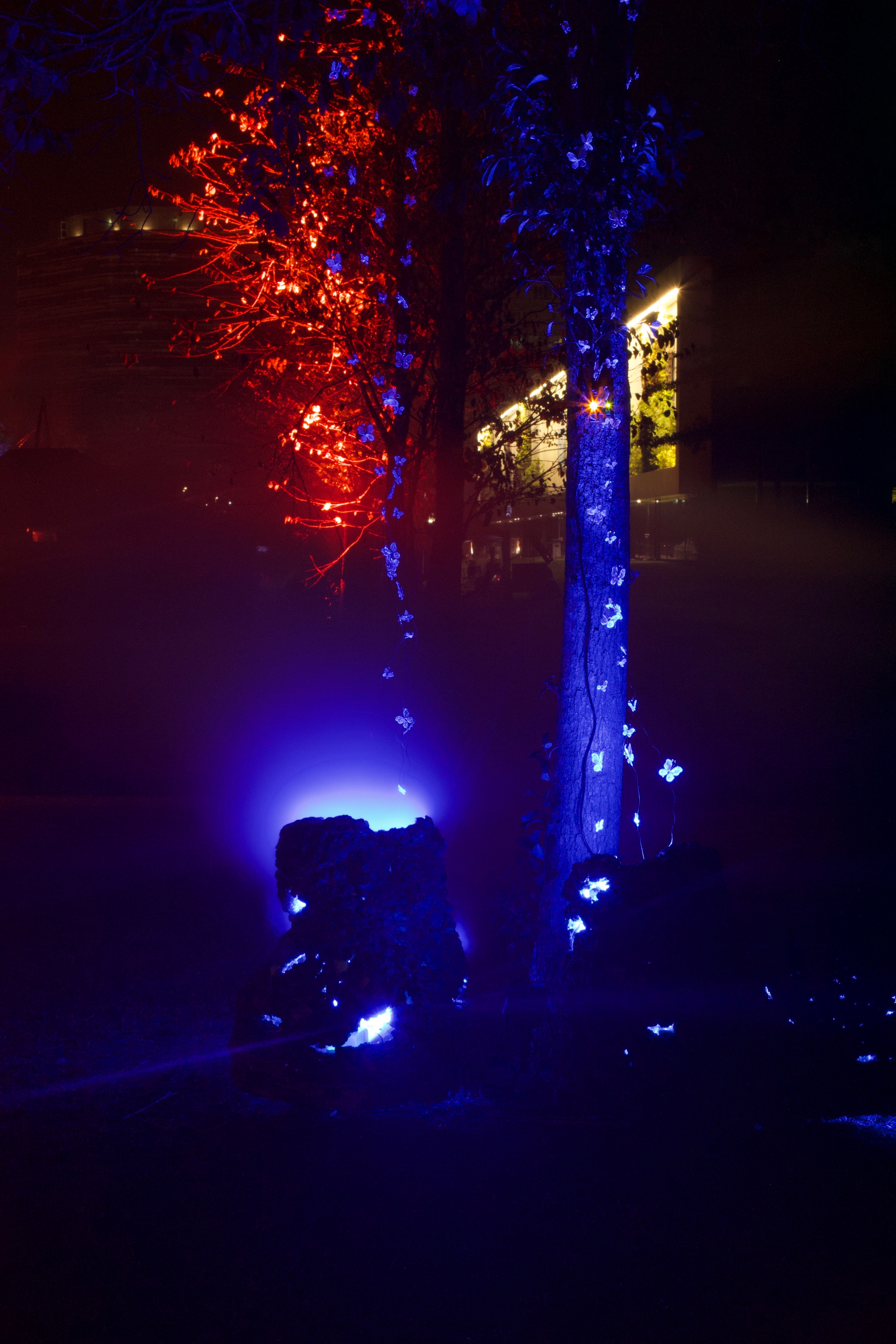 20190922100005 1b7ba8dd