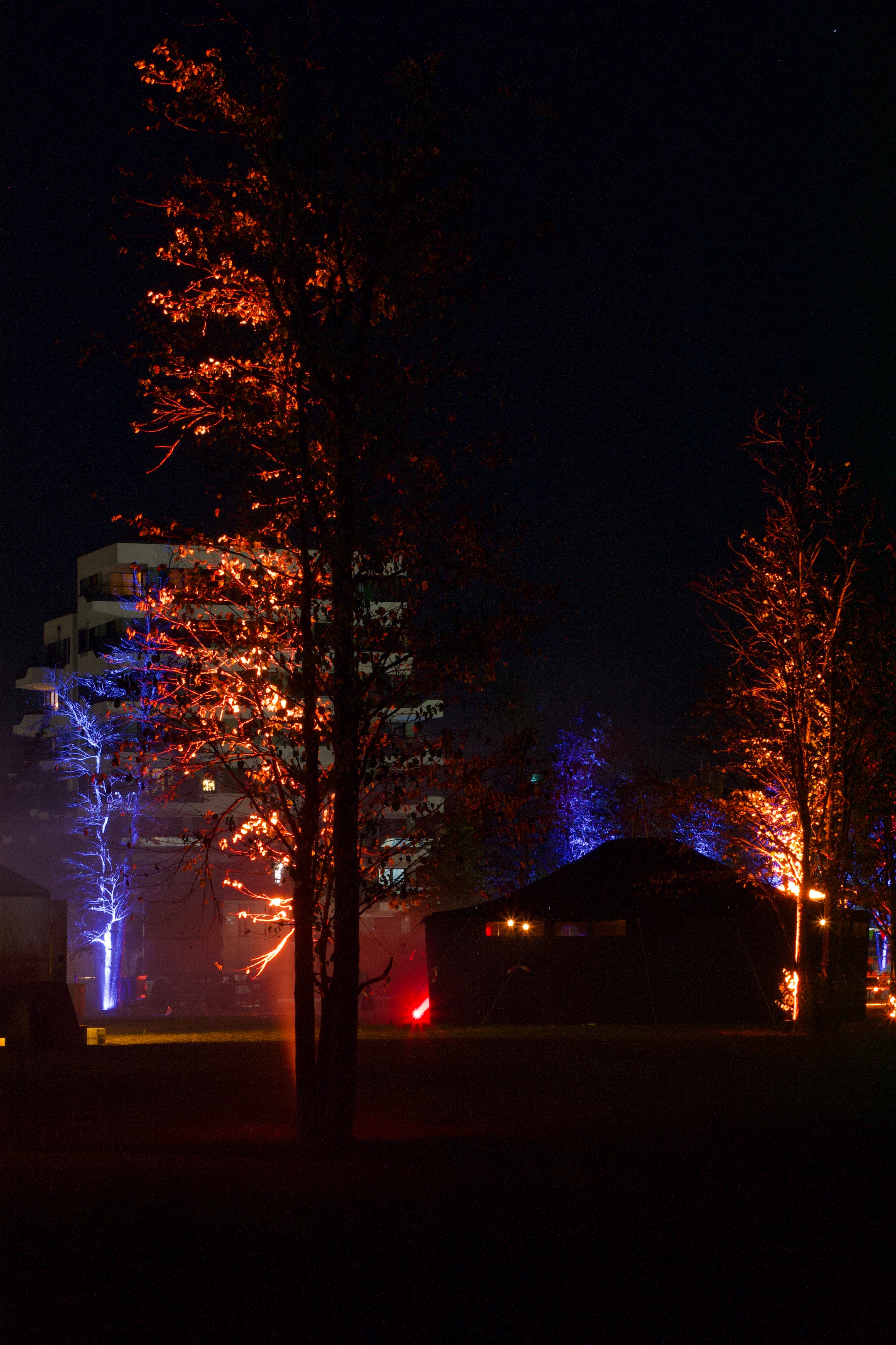 20190922100019 18117a41