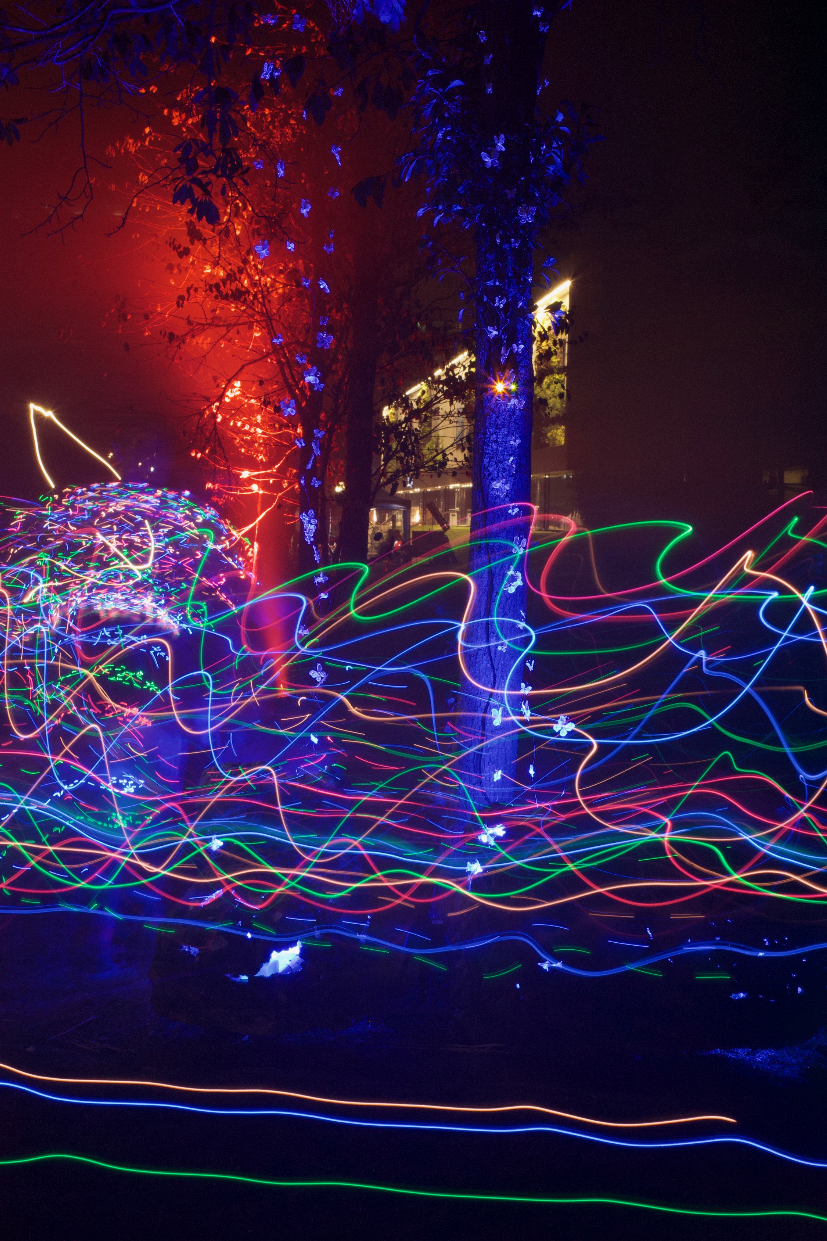 20190922100026 497a5023