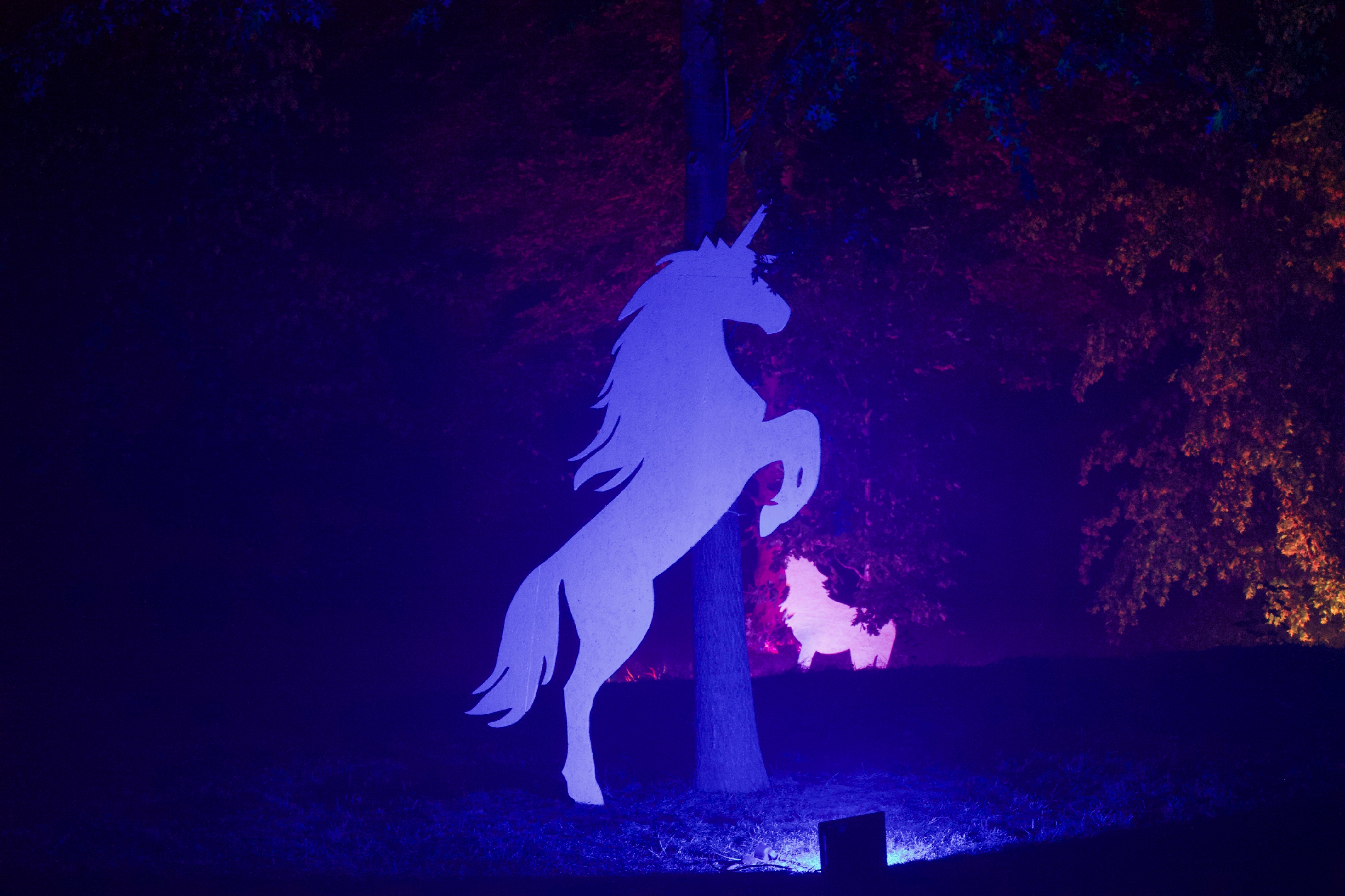 20190922100028 dbd22803