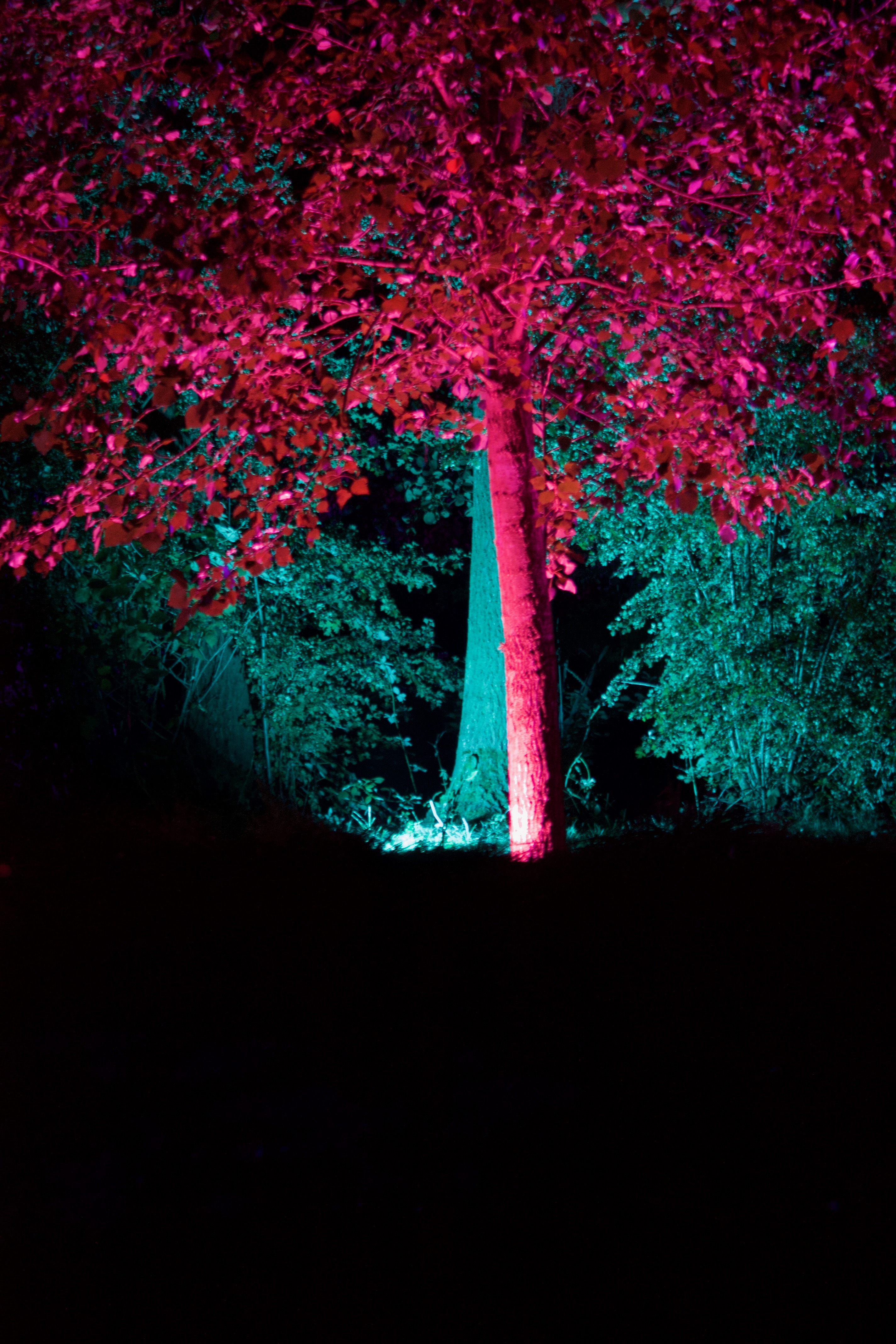 20190922100048 f9f00d05