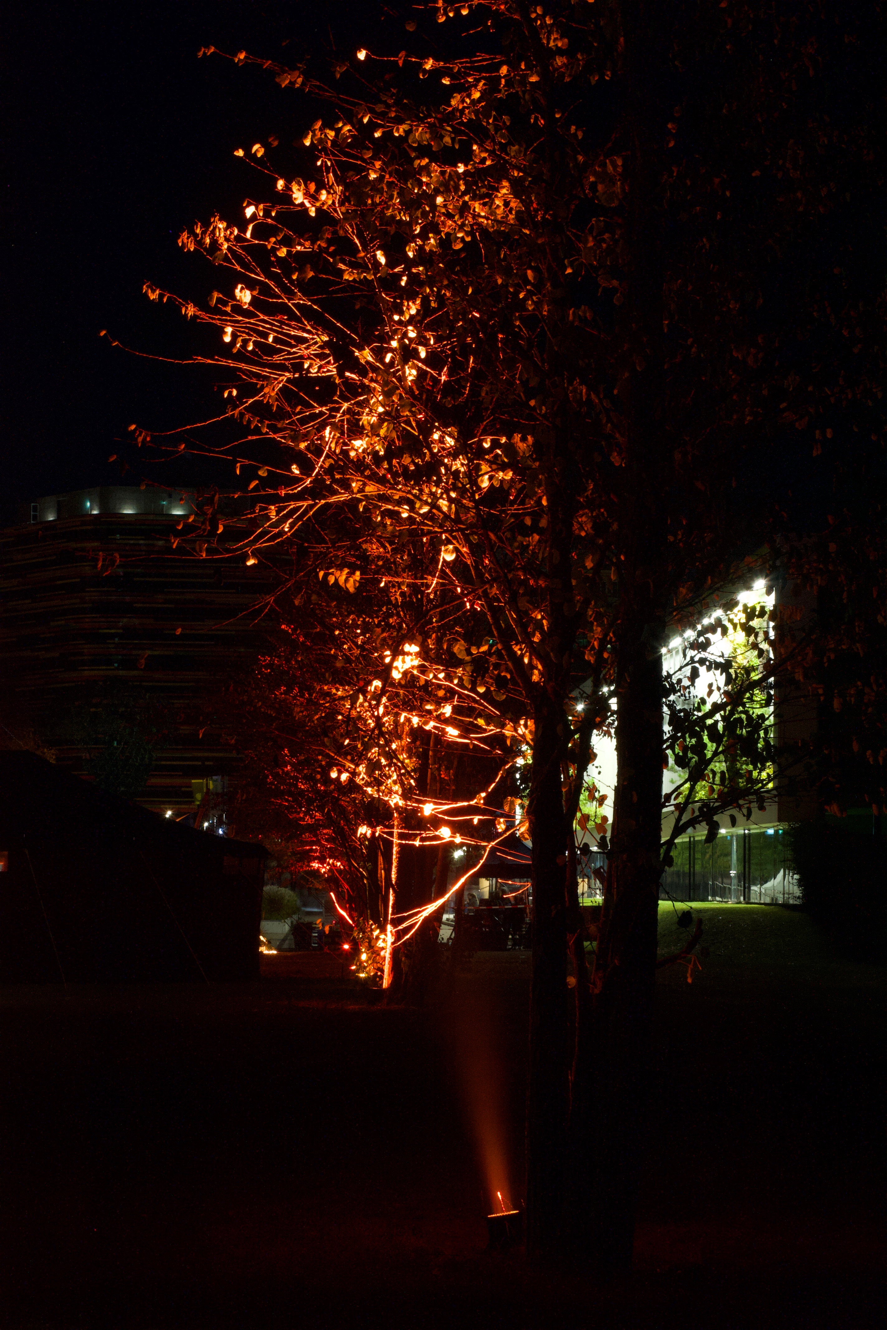 20190922100054 46fe5913