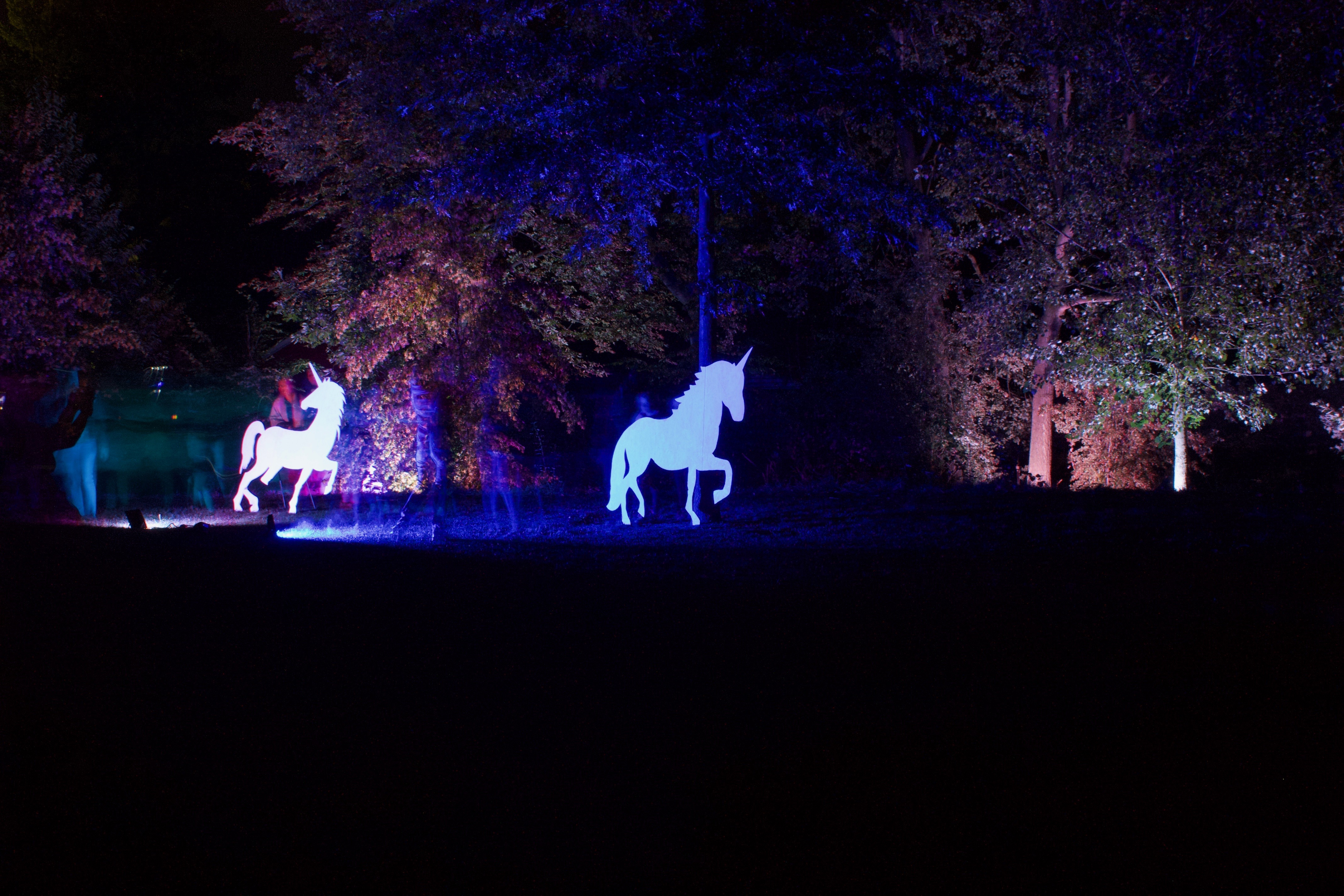 20190922100056 fedac4a7