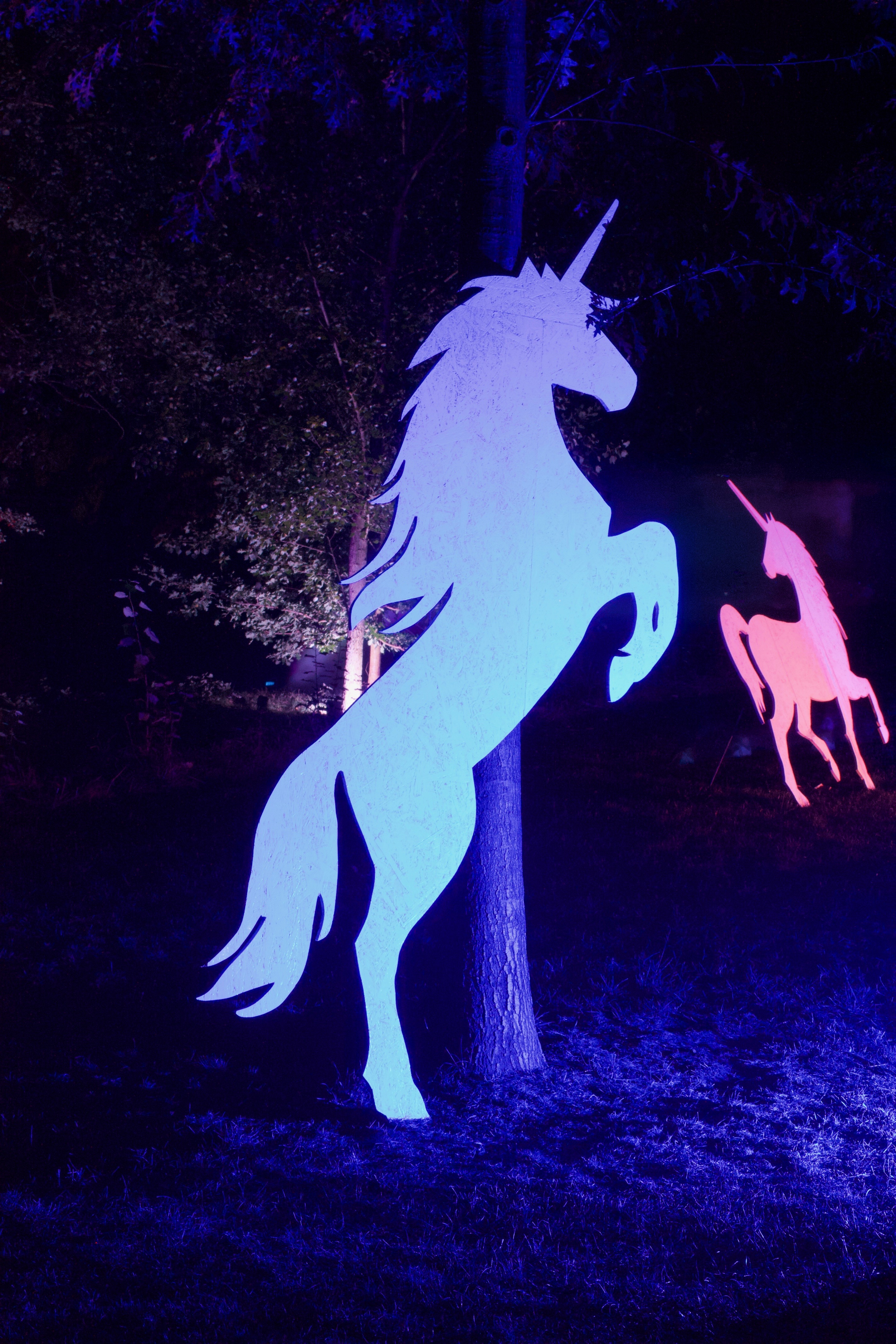 20190922100106 c249e626